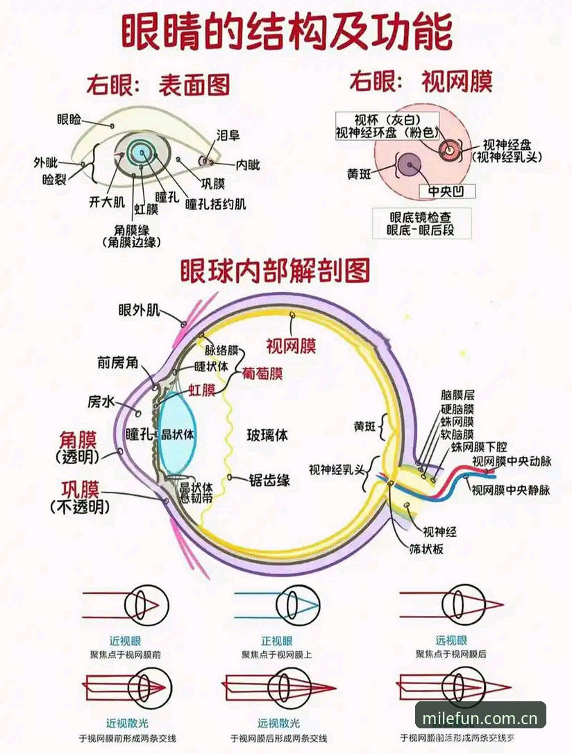 米乐体育平台2025新功能实用指南：技术升级背后的操作细节与必备知识